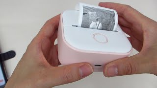 Memoking Label Makers  Phomemo T02 Mini Portable Small Printer  Mini Sticker Printer Demo [upl. by Ainocal]