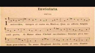 Inviolata  Canto Gregoriano Mariano [upl. by Hadnama]