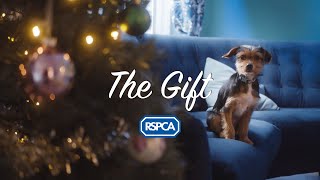 The Gift  RSPCA  Christmas Ad 2021 [upl. by Sirred150]