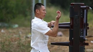 Wing Chun Master  Master Dong  Dragon Mountain Kung Fu Academy [upl. by Airamesor668]