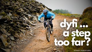 Is Dyfi Bike Park A Wasted Trip for Normal Riders [upl. by Ciredec292]