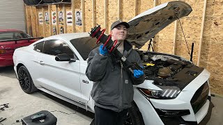 Installing BMR Lowering Springs on the 2017 Ford Mustang GT Pt2 Front [upl. by Aikrehs]