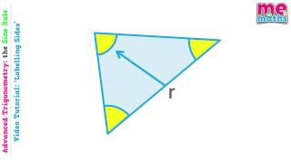 Labelling Sides for the Sine amp Cosine Rule  Advanced Trigonometry Tutorial  Revision 18 [upl. by Alvinia379]