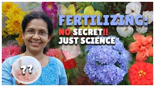 How to Fertilize Flowering Plants  Science of Fertilizing Plants [upl. by Avictor860]