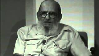 Memória Viva PAULO FREIRE [upl. by Ainirtak841]