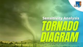 Sensitivity Analysis using Tornado Diagrams [upl. by Aivon]