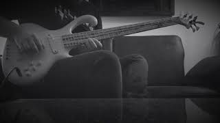 Bass cover  Band Therapy  Song Diane by Sam Elflein Ritter Bass [upl. by Kevina]