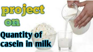 project on quantity of casein in milk for class 12th [upl. by Pool]