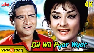 Dil Wil Pyar Wyar  Popular Song of Lata Mangeshkar  Saira Banu  Joy Mukherjee  Shagird [upl. by Olethea]