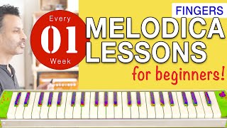 Melodica Lessons for Beginners 01 Fingers [upl. by Maxa]