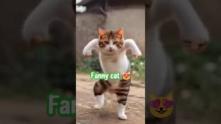 fanny 😻😺😾 music musicsong cat musicstyle motivation funny musicgenre comedy catlover cat [upl. by Introc676]