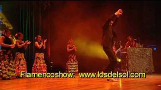 FLAMENCO SHOW SPAANSE DANS SPAANSE MUZIEK LOS DEL SOL SPORTGALA [upl. by Lirret]