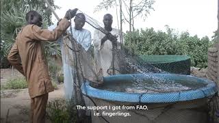 FAOCM Djibrine Abba Aquaculture En YT [upl. by Dallis]