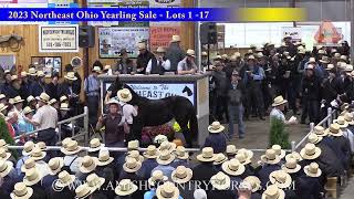 2023 Northeast Ohio Standardbred Yearling Sale  Part 1 [upl. by Georgette209]