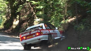 Rallye Weiz 2024  Crashes amp Mistakes [upl. by Nillor]