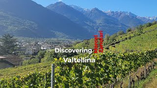 Valtellina Valley Italy a Bio dynamic winery featuring Marcel Zanolari [upl. by Leahcimluap502]