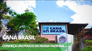 Conheça um pouco da fazenda Escola Cana BrasilCurso Mestre Alambiqueiro Curso de padronização etc [upl. by Tebzil]