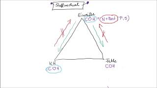 Stoffwechsel einfach erklärt Teil 1 [upl. by Gnos]