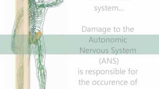 Syndromes of the ANS  Part 3  Ross Syndrome [upl. by Ennaimaj]