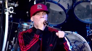 Limp Bizkit  Live at Main Square Festival Arras France 2011 Full Show  Pro Shot HD [upl. by Leirrad]