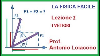 LA FISICA FACILE  Lezione 2  I Vettori [upl. by Vanzant]