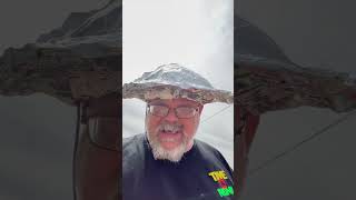 Tin Foil Hat eclipse [upl. by Betz]