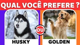 🐶 Qual Seu Cachorro Favorito  O Que Você Prefere Edição Cachorros Fofinhos  Jogo das Escolhas 🔁 [upl. by Olsen]