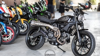 ep31 ขายบิ๊กไบค์ Ducati Scrambler 800 Urban Warrior ท่อZARD จ๊าบมาก [upl. by Crist217]