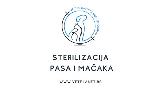 Veterinar Vet Planet Clinice Spec Dr Vet Vladan Ranković opisuje sterilizaciju pasa i mačaka [upl. by Tamah]