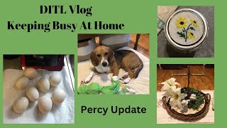 DITL Vlog Keeping Busy At Home Percy Update [upl. by Riddle]