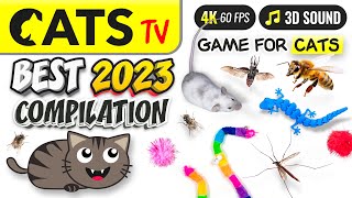 CAT TV  BEST 2023 Compilation for Cats 😻📺🦎🐭 5 HOURS 4K [upl. by Neerahs994]