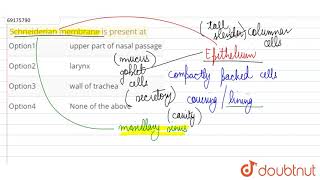 Schneiderian membrane is present at [upl. by Kinna344]