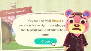 This Is Why She Almost Ghosted Me  Animal Crossing Happy Home Paradise  ACNH Sick Villagers [upl. by Yslek]