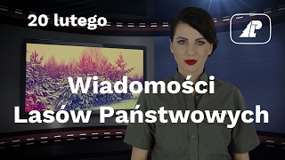 Wiadomości Lasów Państwowych 12 [upl. by Vander978]