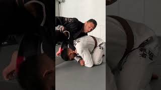 3 submissions from turtle position bjj jiujitsu brazilianjiujitsu [upl. by Thomasina]