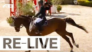 RELIVE  2nd competition  Individuals amp Teams I FEI Jumping European Championships for Veterans 24 [upl. by Lekim117]