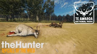 2 GAMOS DIAMANTES  TheHunter Call of the Wild [upl. by Eugenides]