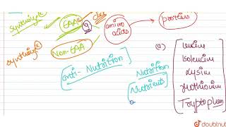 a Our body fails to synthesize many essential amino acids Name four of them b What are ant [upl. by Auot]