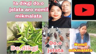 Nomil mikmalatgipa aro doo jelatgipa dodikgi By Rajib oja [upl. by Ck]