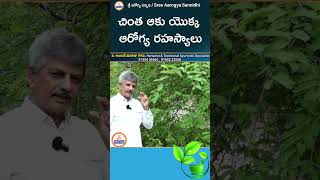 చింత ఆకు యొక్క ఆరోగ్య రహస్యాలు youtubeshorts ytshorts ayurveda sreesannidhitv [upl. by Swirsky]