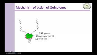 Quinolones Mechanism of action [upl. by Marquis982]