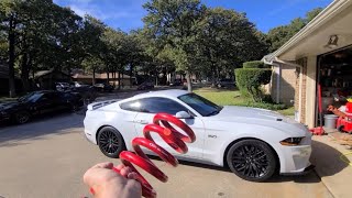 Installing BMR lowering springs on my buddies 2020 Mustang GT Performance pack [upl. by Ynahteb130]