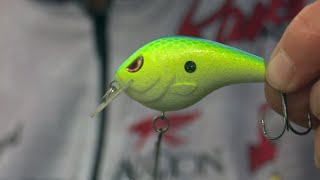 Top 5 Baits for September Bass Fishing Pro Tips  Bass Fishing [upl. by Sherrill]