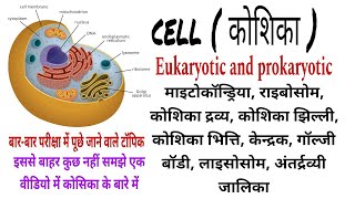 BPSC TRE 4 कोशिका  cell  biology परिभाषा प्रकार कार्य आकार [upl. by Corrianne686]