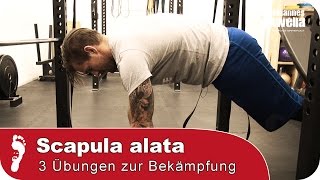 Scapula Alata Engelsflügel  3 TopÜbungen gegen Fehlhaltung und Schmerzen [upl. by Sirotek]