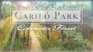 Paseo por Cariló 4K Buenos Aires Argentina [upl. by Yancey]