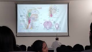 CLASE LARINGE TIROIDES FARINGE TRAQUEA ESÓFAGO CERVICAL y X PAR [upl. by Marian828]