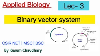 Binary vector system  Lec 3  Applied Biology  science workshop  Kusum Chaudhary MSCcsir net [upl. by Nedmac969]