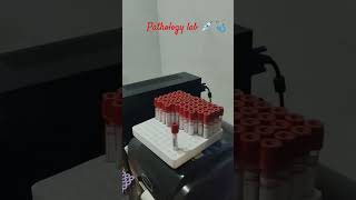 Pathology lab 🧪🧫 shorts mbbs pathology medical neet trending [upl. by Neomah]