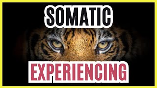 ⚡APRENDE a SANAR el TRAUMA con SOMATIC EXPERIENCING® del DR PETER LEVINE💚 [upl. by Vitia]